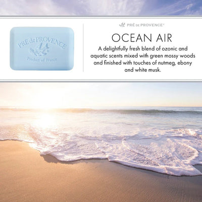 Ocean Air Soap Bar - Made in France 150g - Lemon And Lavender Toronto