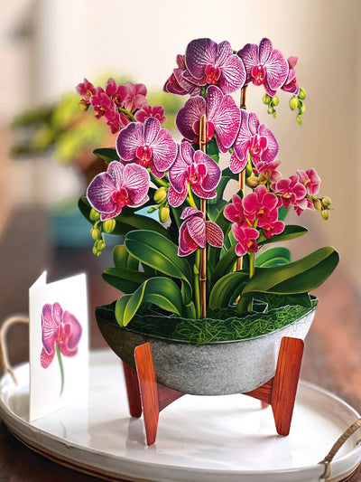 Orchid Oasis Pop - up Greeting Card - Lemon And Lavender Toronto