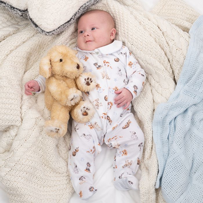 Little Paws Printed Sleepsuit