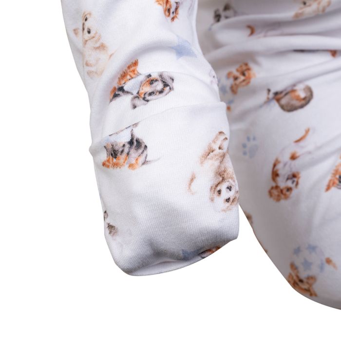 Little Paws Printed Sleepsuit