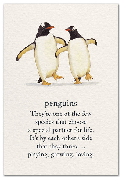 Penguins Card - Lemon And Lavender Toronto