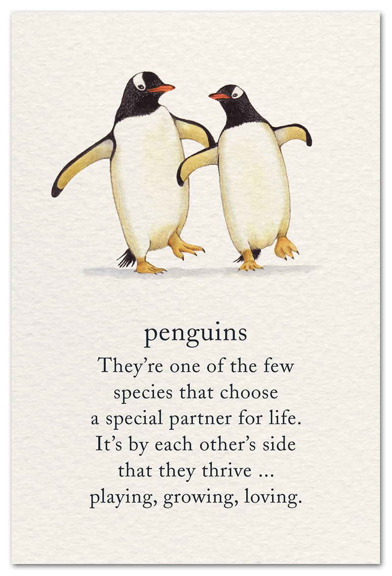 Penguins Card - Lemon And Lavender Toronto