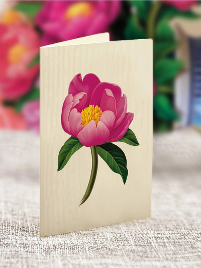 Peony Paradise Pop - up Greeting Card - Lemon And Lavender Toronto