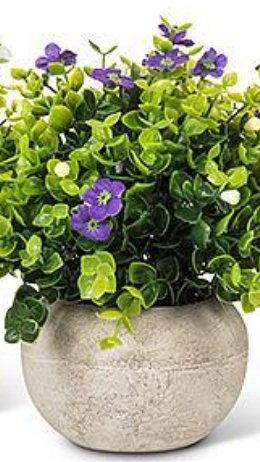 Petite Flowering Plant Pot - Lemon And Lavender Toronto