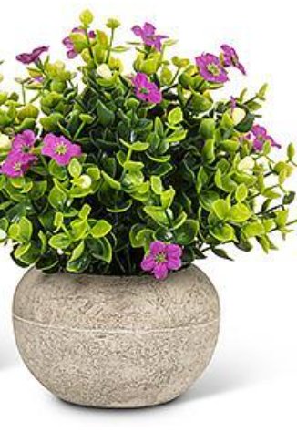 Petite Flowering Plant Pot - Lemon And Lavender Toronto