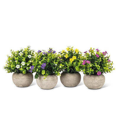 Petite Flowering Plant Pot - Lemon And Lavender Toronto