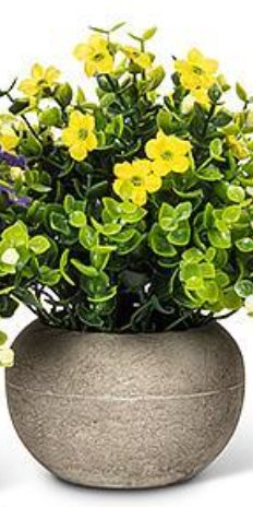 Petite Flowering Plant Pot - Lemon And Lavender Toronto