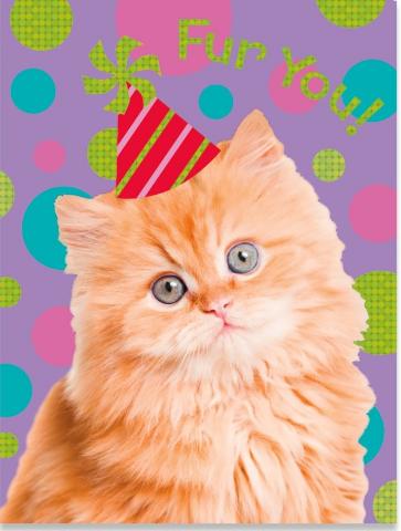 Cat Photo Enclosure Card