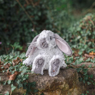 Rosie Rabbit Plush Character