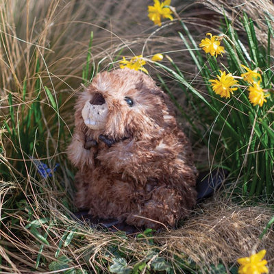 'Chester Beaver' Plush Character