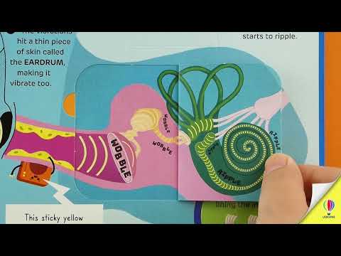 How It Works: Sound- Usborne