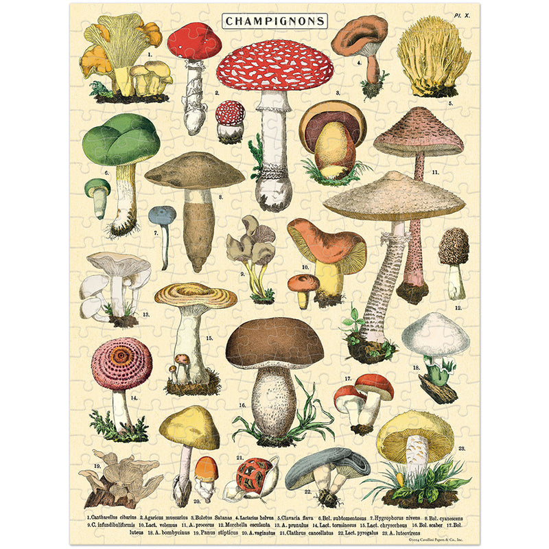 Mushrooms Mini Puzzle-Cavallini