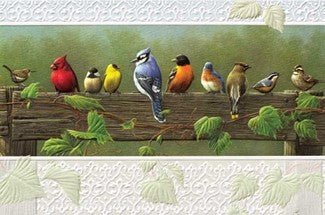 Railbirds Greeting Card - Lemon And Lavender Toronto