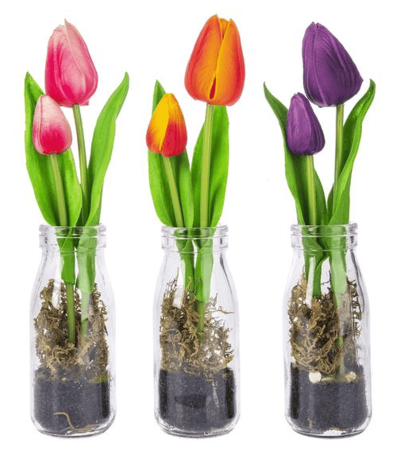 Realistic Tulips in Glass Bottle - Lemon And Lavender Toronto