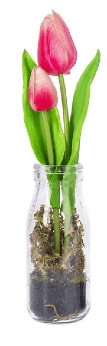 Realistic Tulips in Glass Bottle - Lemon And Lavender Toronto