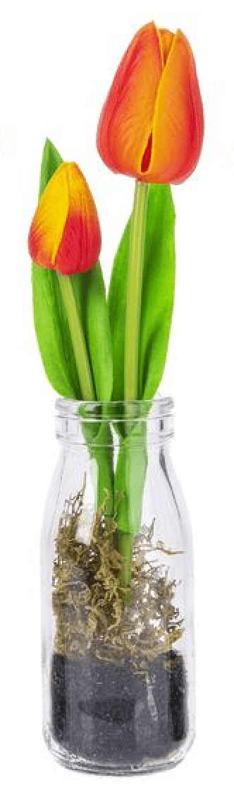 Realistic Tulips in Glass Bottle - Lemon And Lavender Toronto