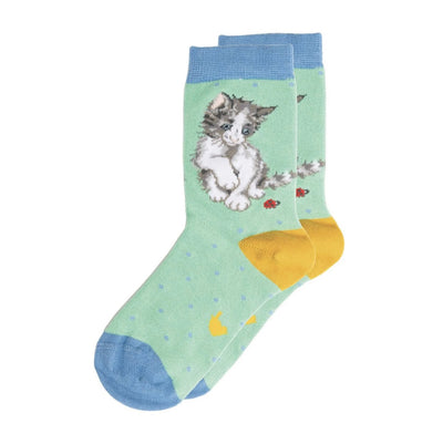 Cat Ladybird Childrens Socks