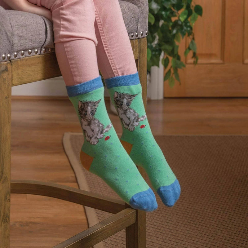 Cat Ladybird Childrens Socks