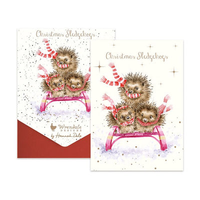 'Sledgehogs' Hedgehog Christmas Card Pack - Lemon And Lavender Toronto