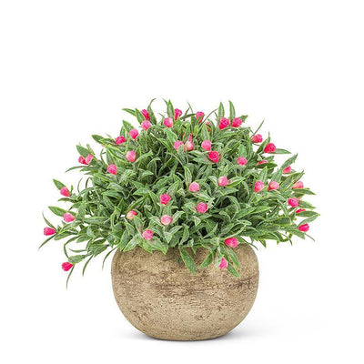Small Flowering Pink Plant Pot - Lemon And Lavender Toronto