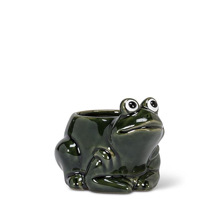 Small Frog Planter - Lemon And Lavender Toronto