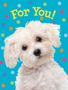 Doggie Enclosure Card