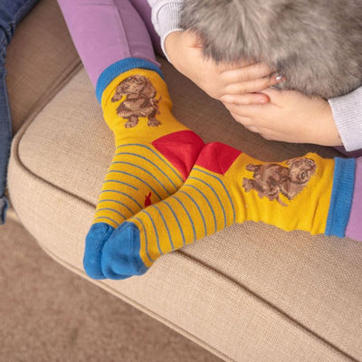 Dachshund Children's Socks