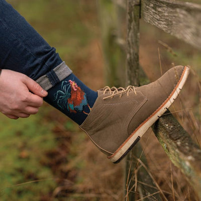 Colours of the Rainbow' Cockerel Men's Sock