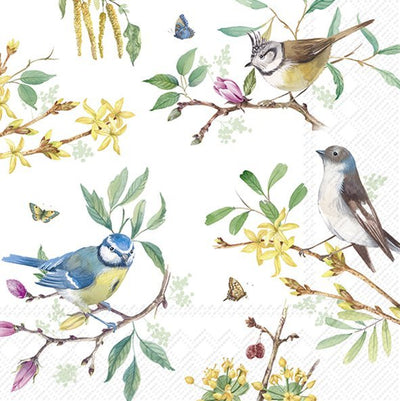 Spring Birds Luncheon Napkins - Lemon And Lavender Toronto