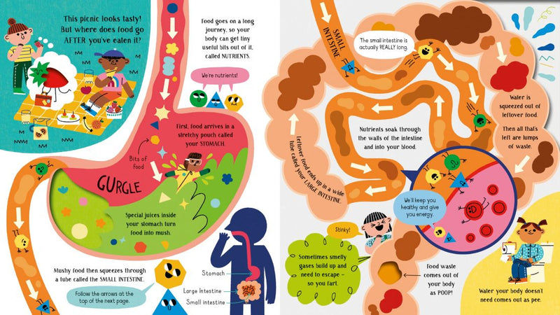 Step inside Science: Your Body - Usborne - Lemon And Lavender Toronto