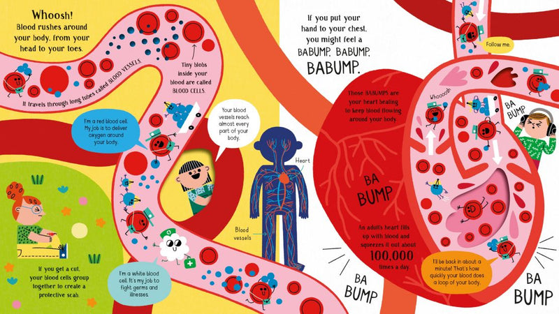 Step inside Science: Your Body - Usborne - Lemon And Lavender Toronto