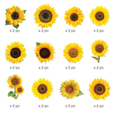 Sunflower Die Cut Sticker Pack - Lemon And Lavender Toronto