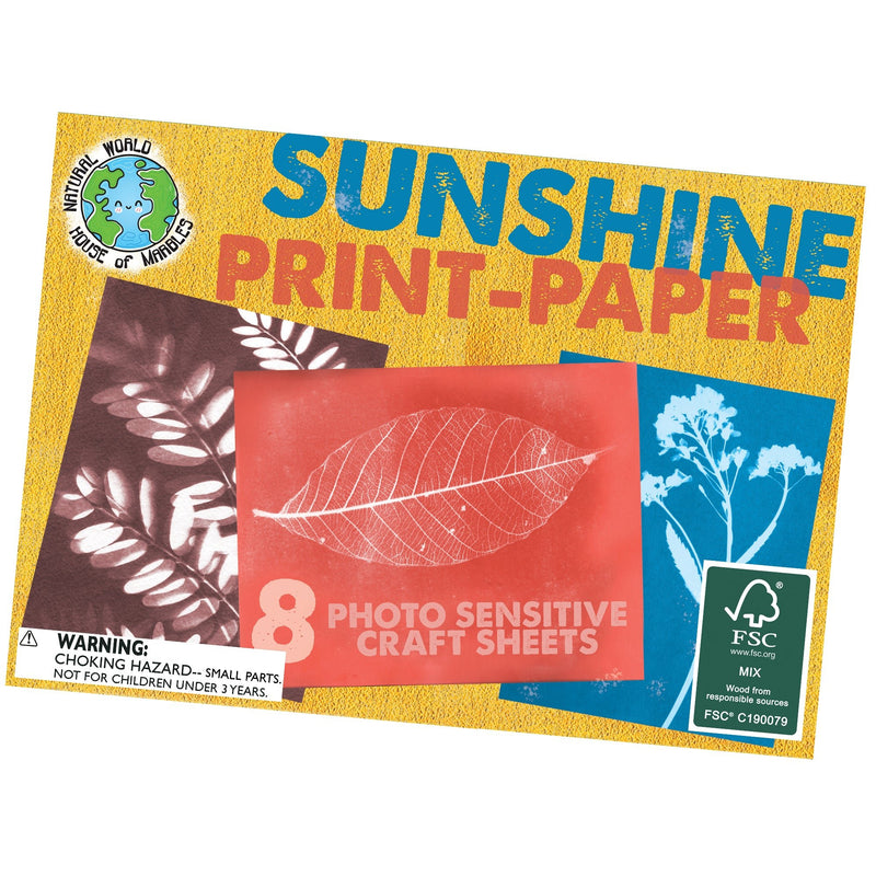 Sunshine Print Paper Kit - Lemon And Lavender Toronto