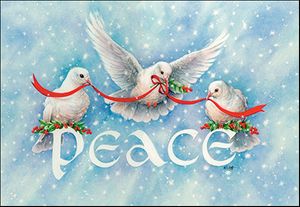 Three Doves Peace Boxed Christmas Card Set - Lemon And Lavender Toronto