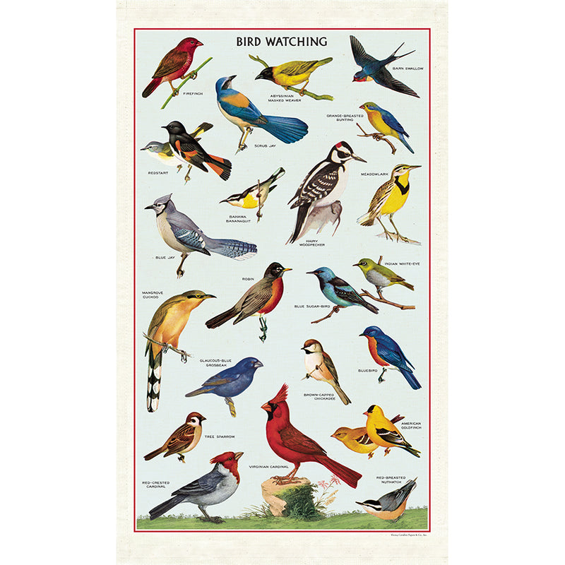 Bird Watching Tea Towel- Cavallini