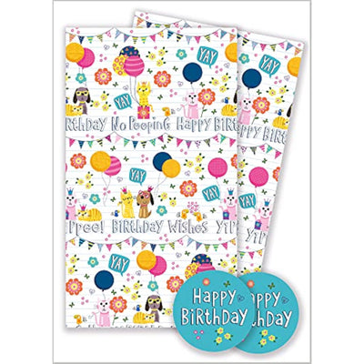 Birthday Gift Wrap Pack