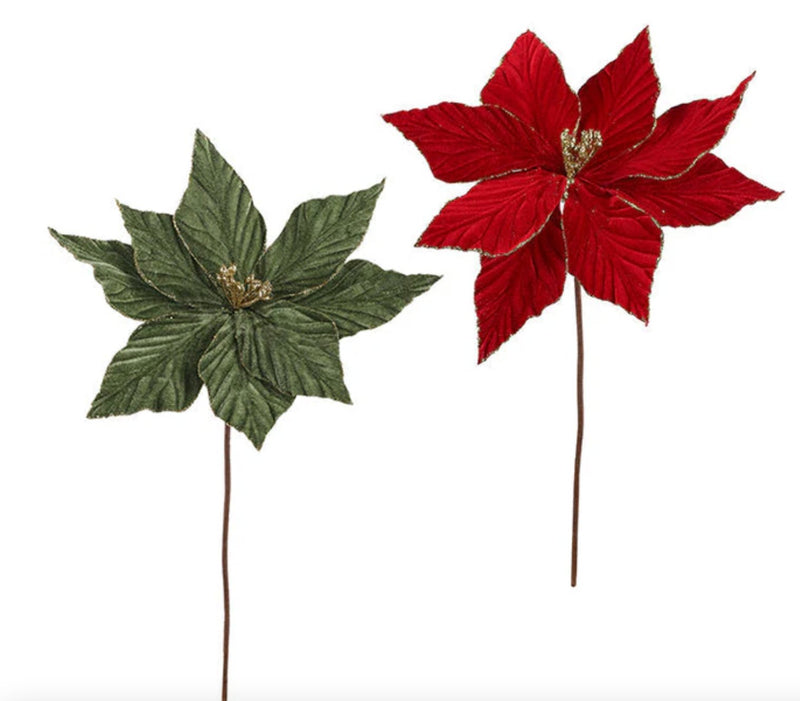 Velvet Poinsettia with Gold Edges - Lemon And Lavender Toronto