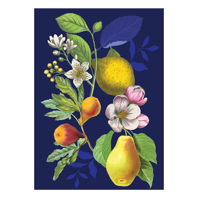 Vintage Fruit Greeting Card - Lemon And Lavender Toronto