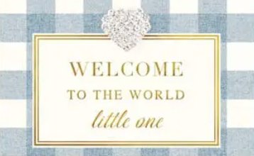 Welcome to the World Baby Boy Card - Lemon And Lavender Toronto