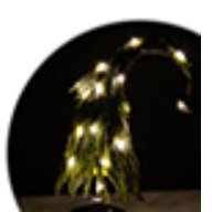 Whimsical Christmas tree with LED light - Lemon And Lavender Toronto