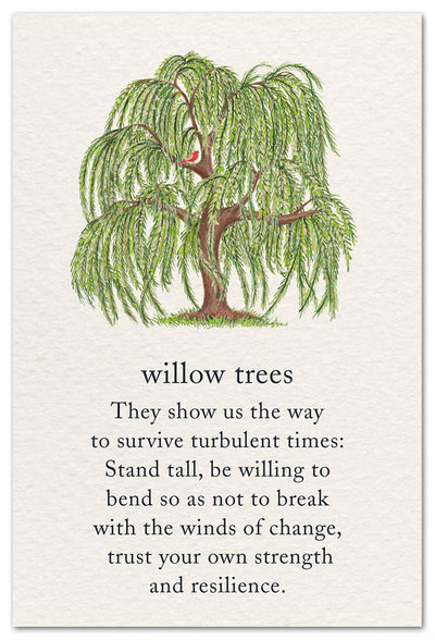 Willow Tree Card - Lemon And Lavender Toronto