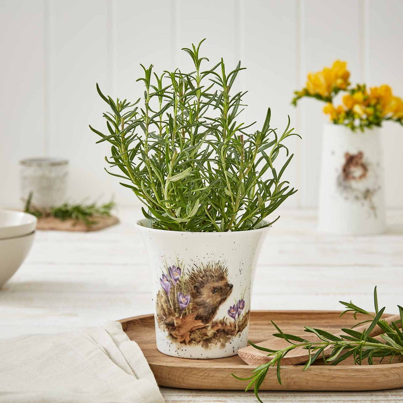 Wrendale Designs Flower Pot - Lemon And Lavender Toronto