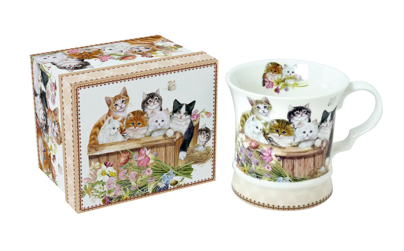 Cats- Mug in a Box