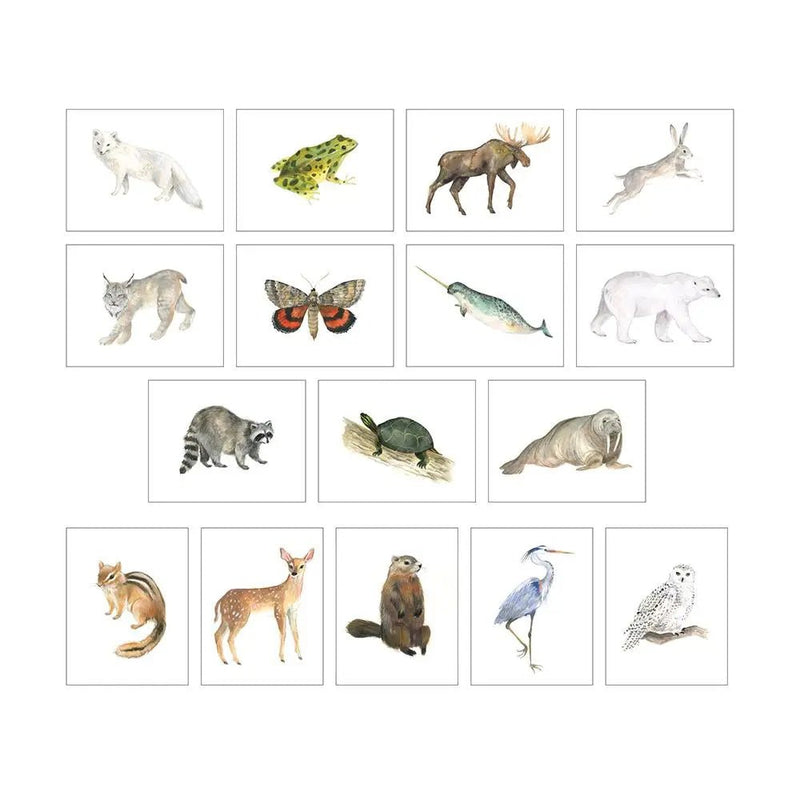 Animals of Canada Postcard Set - Lemon And Lavender Toronto