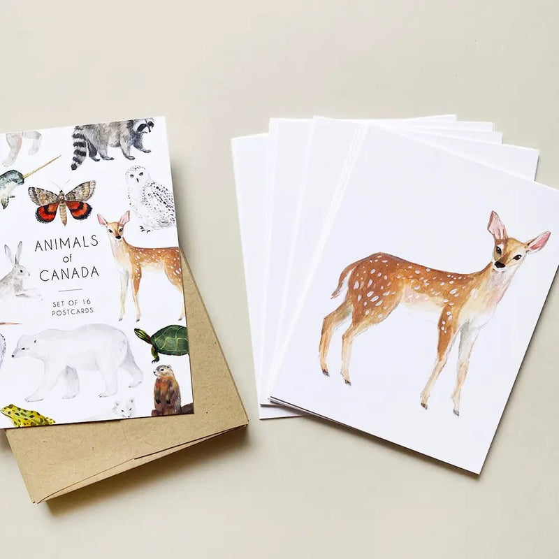 Animals of Canada Postcard Set - Lemon And Lavender Toronto