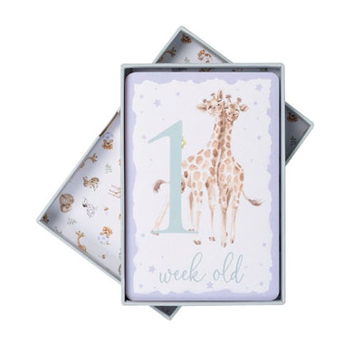 Baby Milestones Cards - Lemon And Lavender Toronto