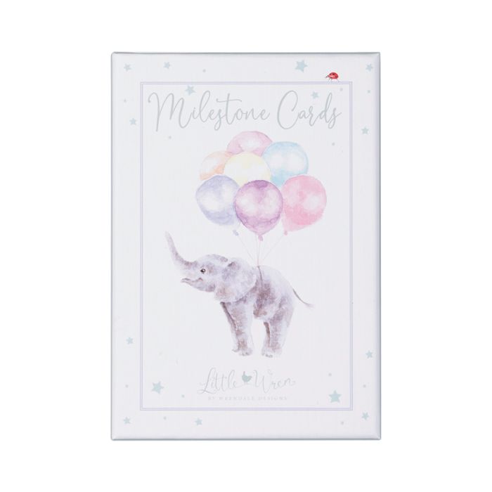 Baby Milestones Cards - Lemon And Lavender Toronto