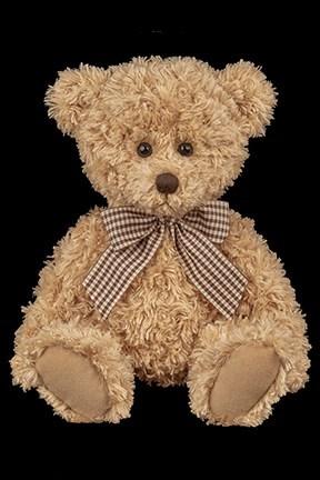 Theodore bearington best sale