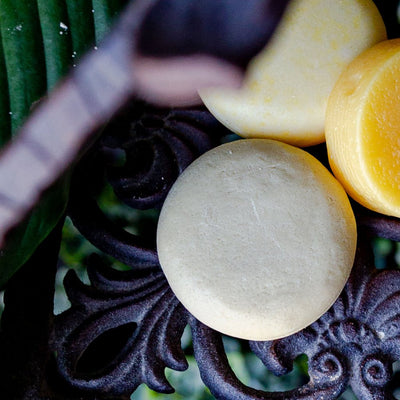 Bee By The Sea Classic Shampoo Bar - Lemon And Lavender Toronto