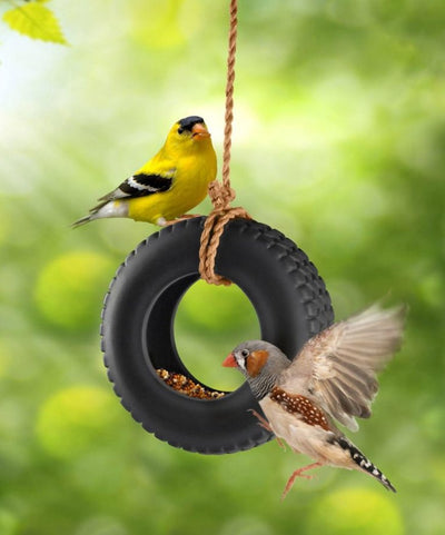 Bird Tire Swing - Lemon And Lavender Toronto
